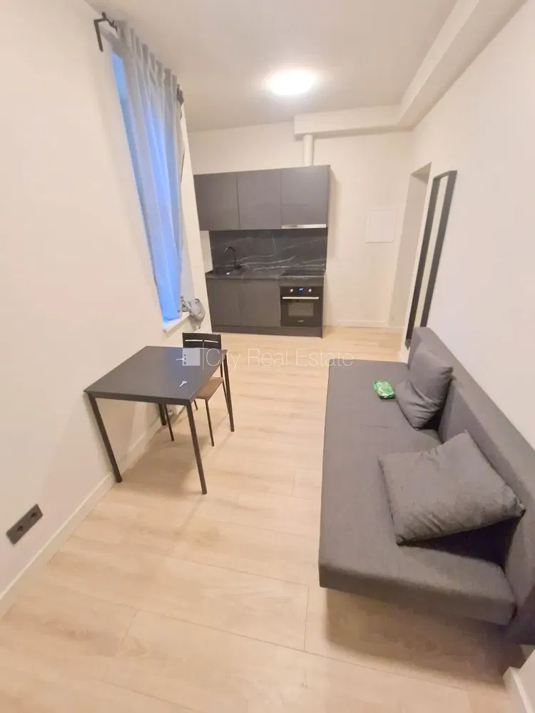 Dnevna soba; drveni pod, prirodno svjetlo, moderni stil, visoki plafoni