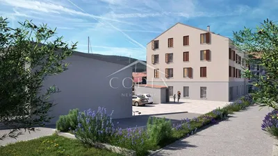 Kitchen; kitchen appliances, wood floor, natural light, modern style, renovated