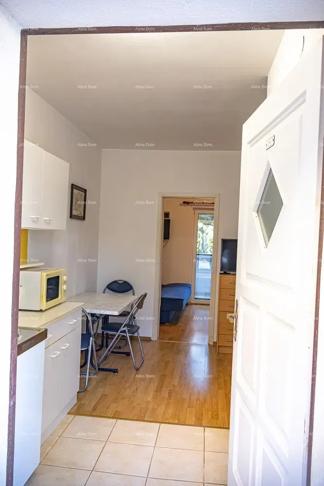 Salon; parquet, lumière naturelle, style moderne, hauteur sous plafond