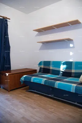 Salon; parquet, lumière naturelle, style moderne, hauteur sous plafond