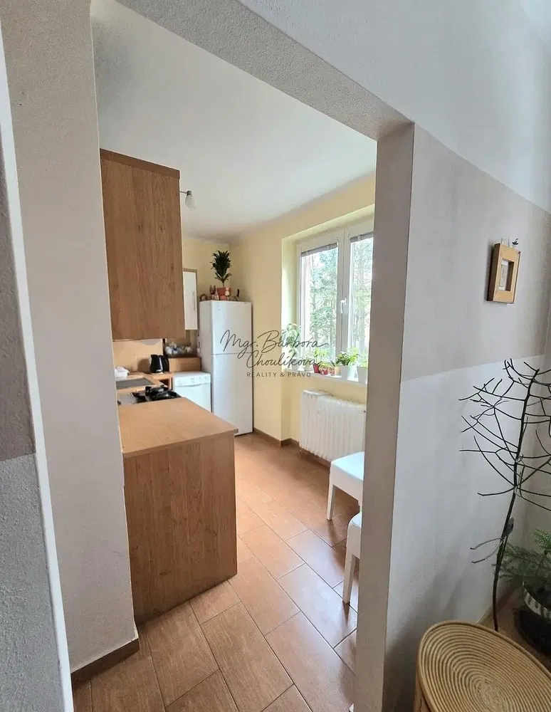 Dnevni boravak; drveni pod, prirodna svjetlost, moderan stil, visoki stropovi