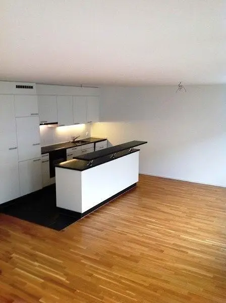 Хол; дървен под, естествена светлина, модерен стил, високи тавани