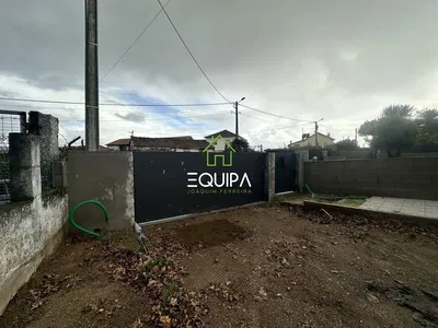 Wohnzimmer; holzboden, tageslicht, moderner stil, hohe decken