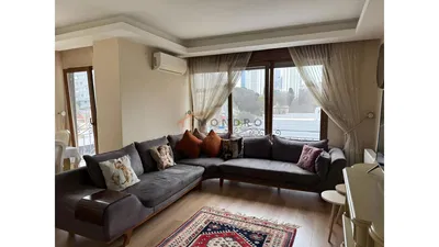 Kitchen; kitchen appliances, wood floor, natural light, modern style, renovated