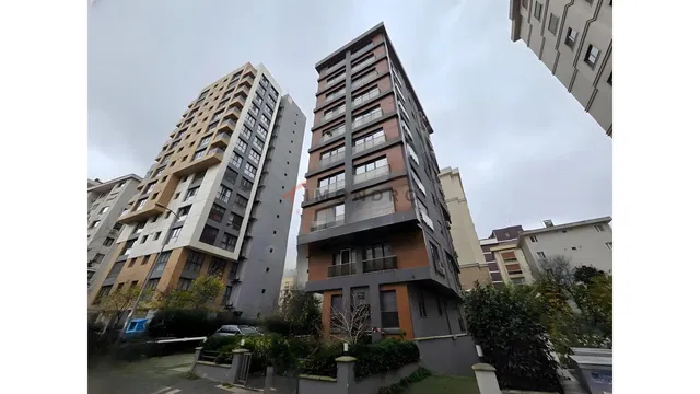 Mutfak; mutfak aletleri, ahşap zemin, doğal ışık, modern stil, tadilatlı