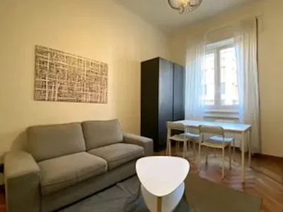 Kitchen; kitchen appliances, wood floor, natural light, modern style, renovated