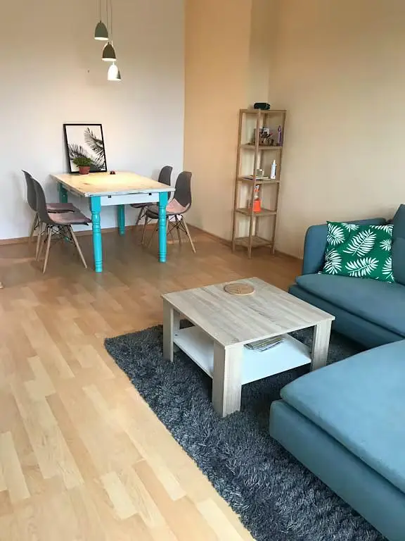 Kitchen; kitchen appliances, wood floor, natural light, modern style, renovated