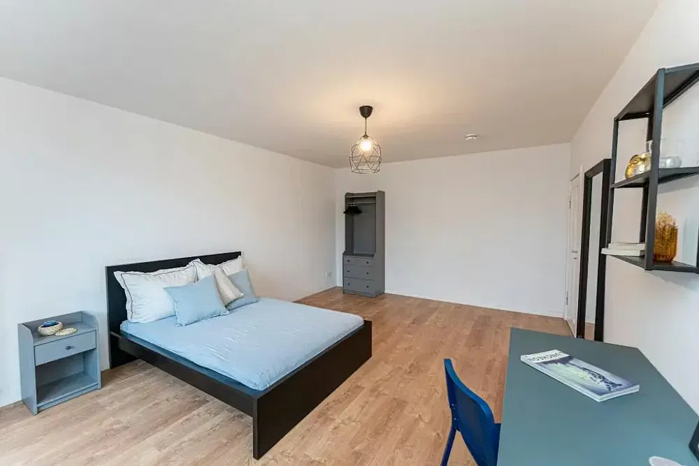 Хол; дървен под, естествена светлина, модерен стил, високи тавани