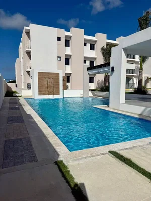 مطبخ; أجهزة المطبخ, أرضية خشبية, ضوء طبيعي, أسلوب عصري, مجدد