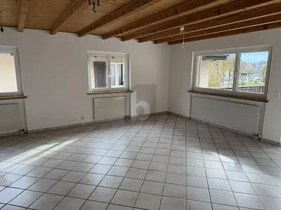 Dnevni boravak; drveni pod, prirodna svjetlost, moderan stil, visoki stropovi