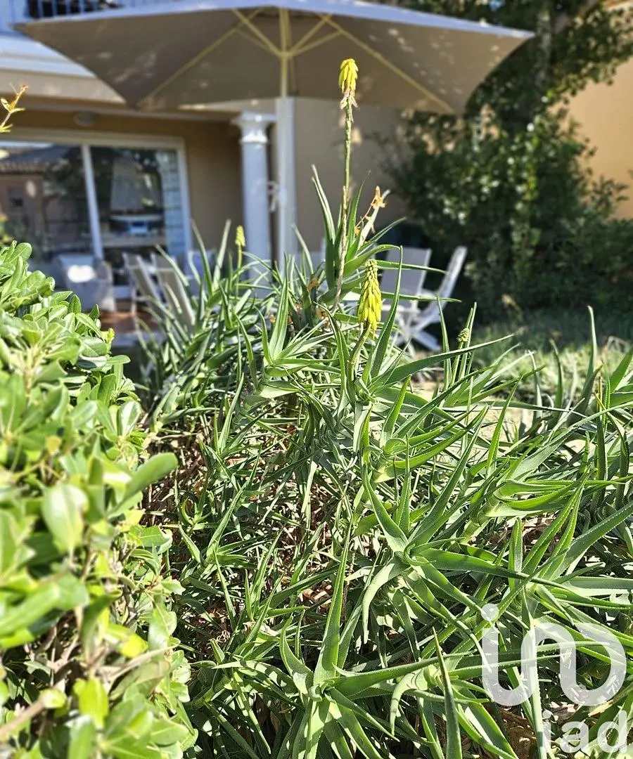 Cucina; elettrodomestici, pavimento in legno, luce naturale, stile moderno, ristrutturato