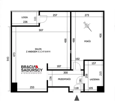 Living room; wood floor, natural light, modern style, high ceiling