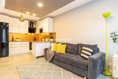 Kitchen; kitchen appliances, wood floor, natural light, modern style, renovated