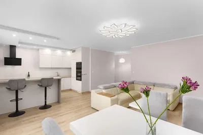 Salon; podłoga drewniana, światło dzienne, styl nowoczesny, wysokie sufity