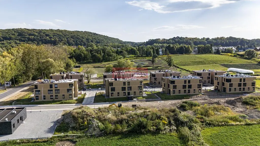 Хол; дървен под, естествена светлина, модерен стил, високи тавани