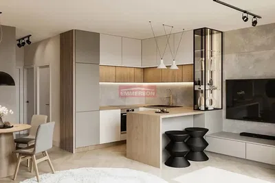 Σαλόνι; ξύλινο πάτωμα, φυσικό φως, μοντέρνο στυλ, ψηλά ταβάνια