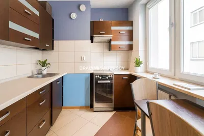 Kitchen; kitchen appliances, wood floor, natural light, modern style, renovated