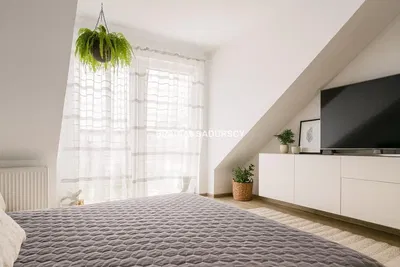 Kitchen; kitchen appliances, wood floor, natural light, modern style, renovated