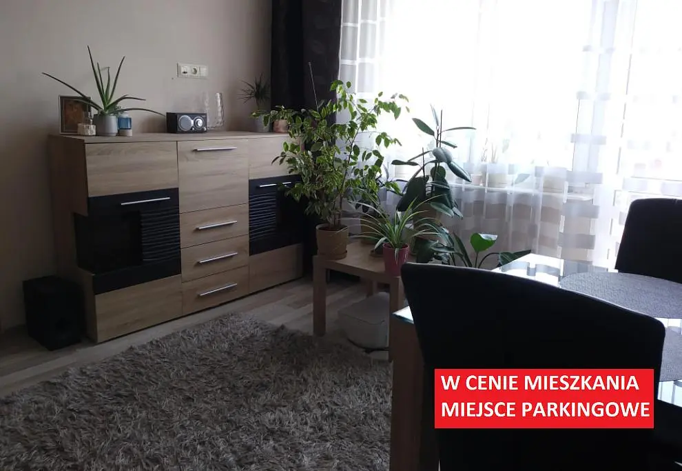 Wohnzimmer; holzboden, tageslicht, moderner stil, hohe decken