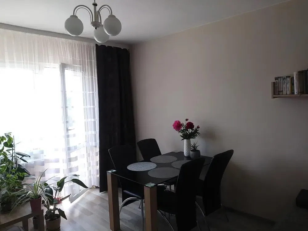 Wohnzimmer; holzboden, tageslicht, moderner stil, hohe decken