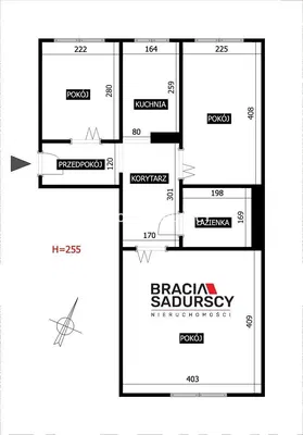 Living room; wood floor, natural light, modern style, high ceiling