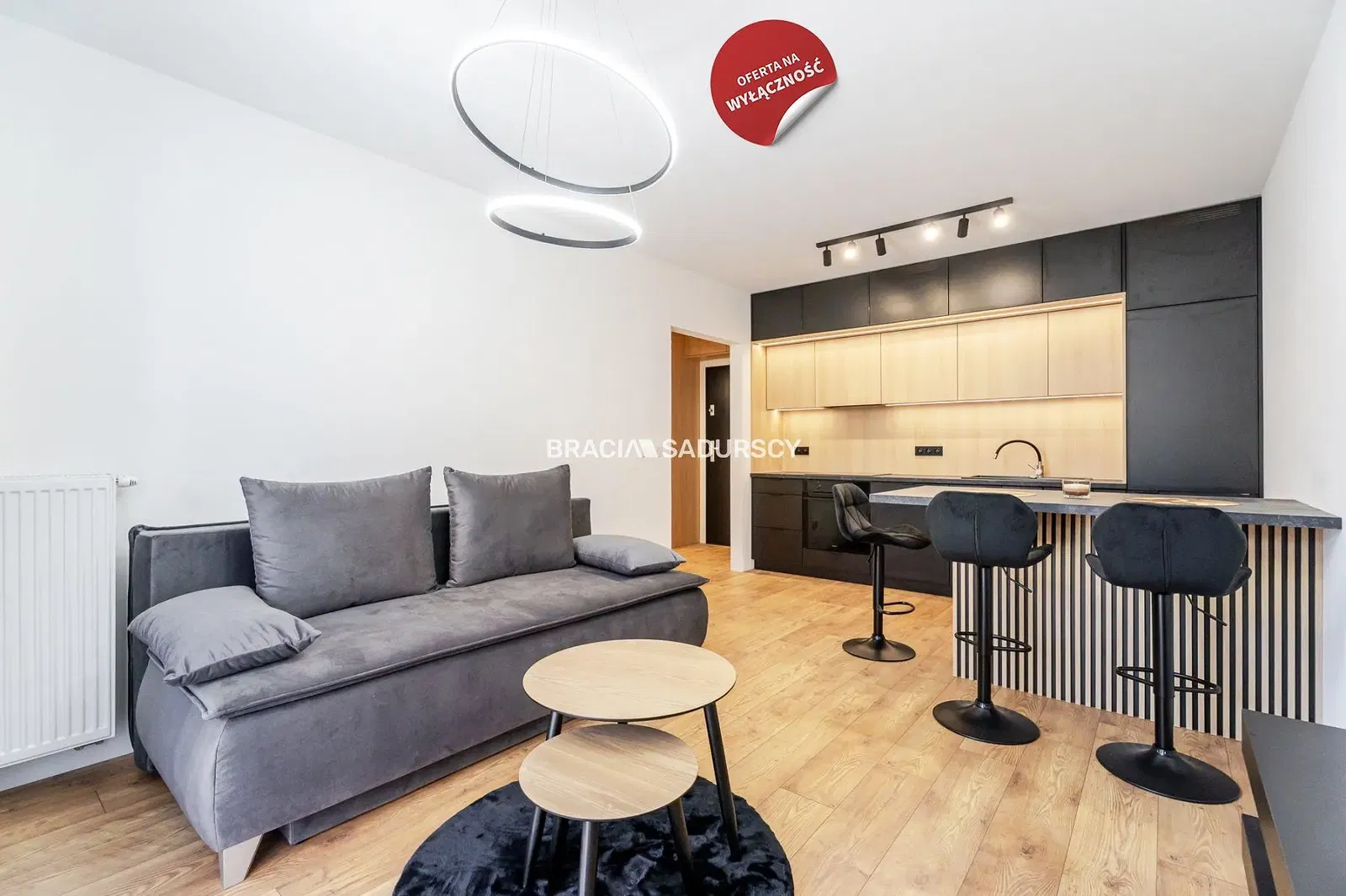 Living room; wood floor, natural light, modern style, high ceiling