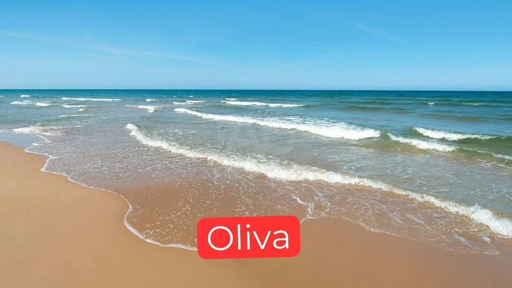 Oturma odası; ahşap zemin, doğal ışık, modern stil, yüksek tavan