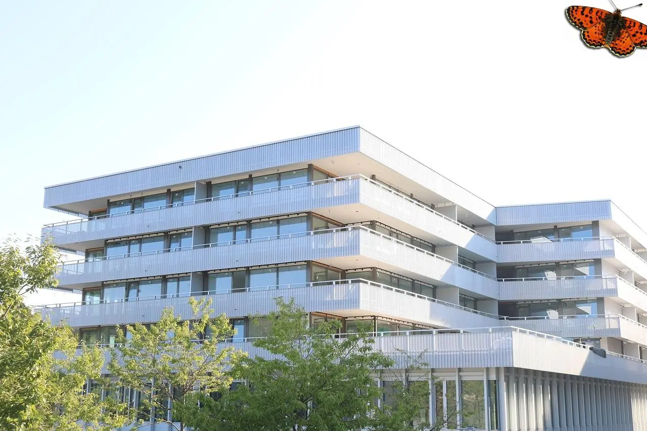 مطبخ; أجهزة المطبخ, أرضية خشبية, ضوء طبيعي, أسلوب عصري, مجدد