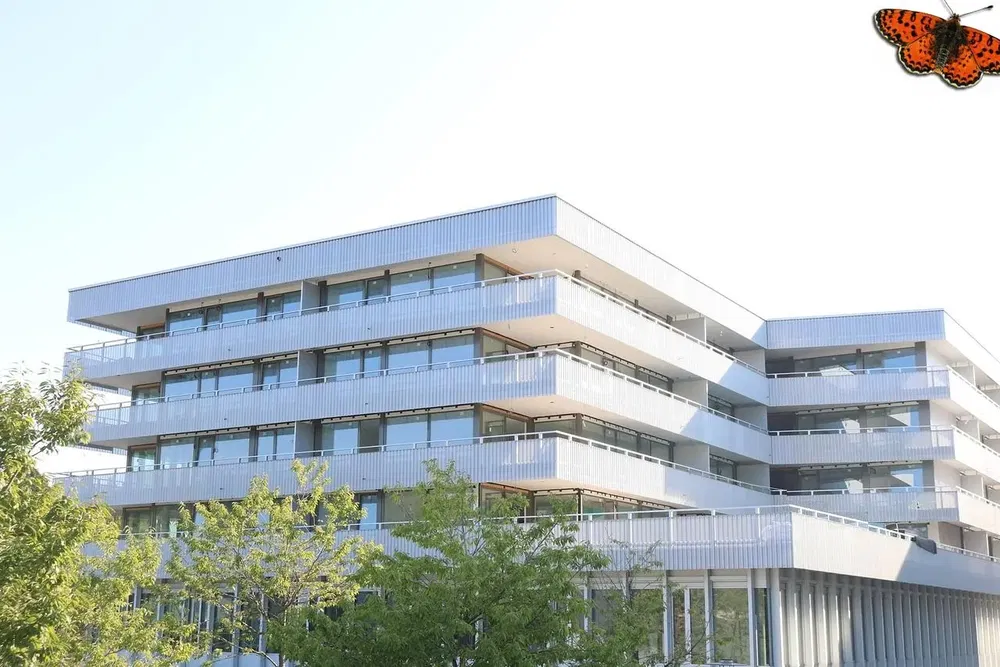 مطبخ; أجهزة المطبخ, أرضية خشبية, ضوء طبيعي, أسلوب عصري, مجدد