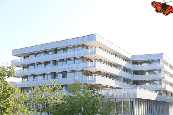 مطبخ; أجهزة المطبخ, أرضية خشبية, ضوء طبيعي, أسلوب عصري, مجدد