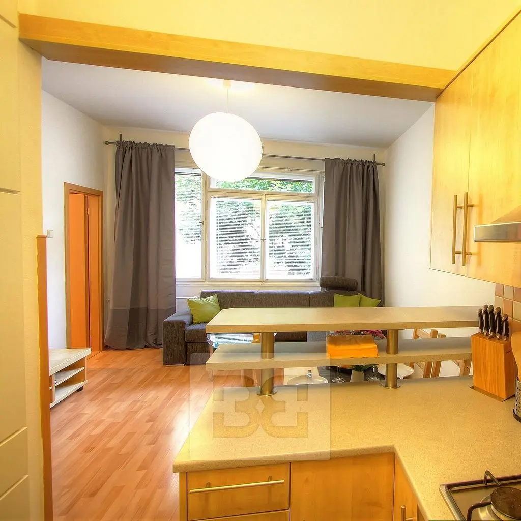 Woonkamer; houten vloer, natuurlijk licht, moderne stijl, hoge plafonds