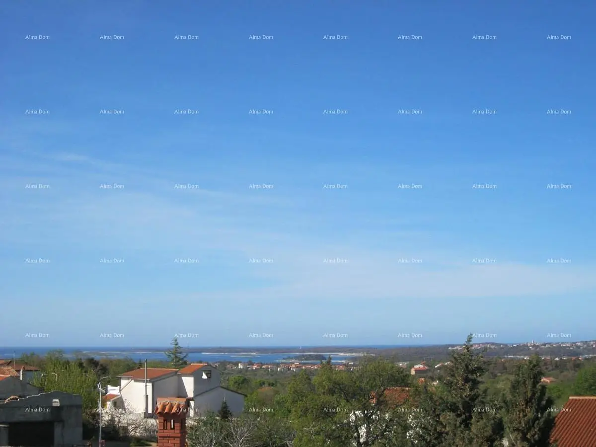 Kuchyně; kuchyňské spotřebiče, dřevěná podlaha, přirozené světlo, moderní styl, po rekonstrukci