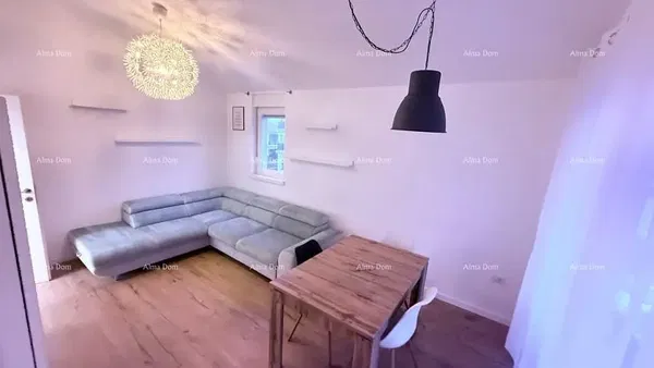 Dnevni boravak; drveni pod, prirodna svjetlost, moderan stil, visoki stropovi