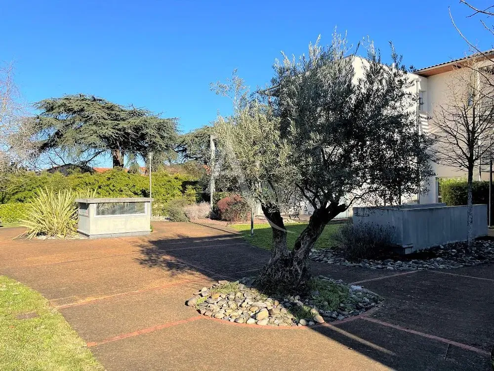 Salon; parquet, lumière naturelle, style moderne, hauteur sous plafond