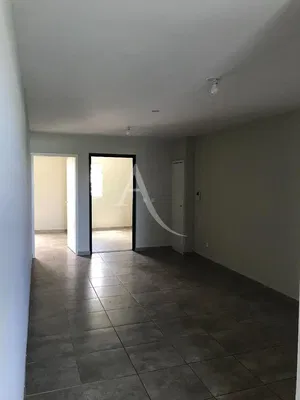 Kitchen; kitchen appliances, wood floor, natural light, modern style, renovated