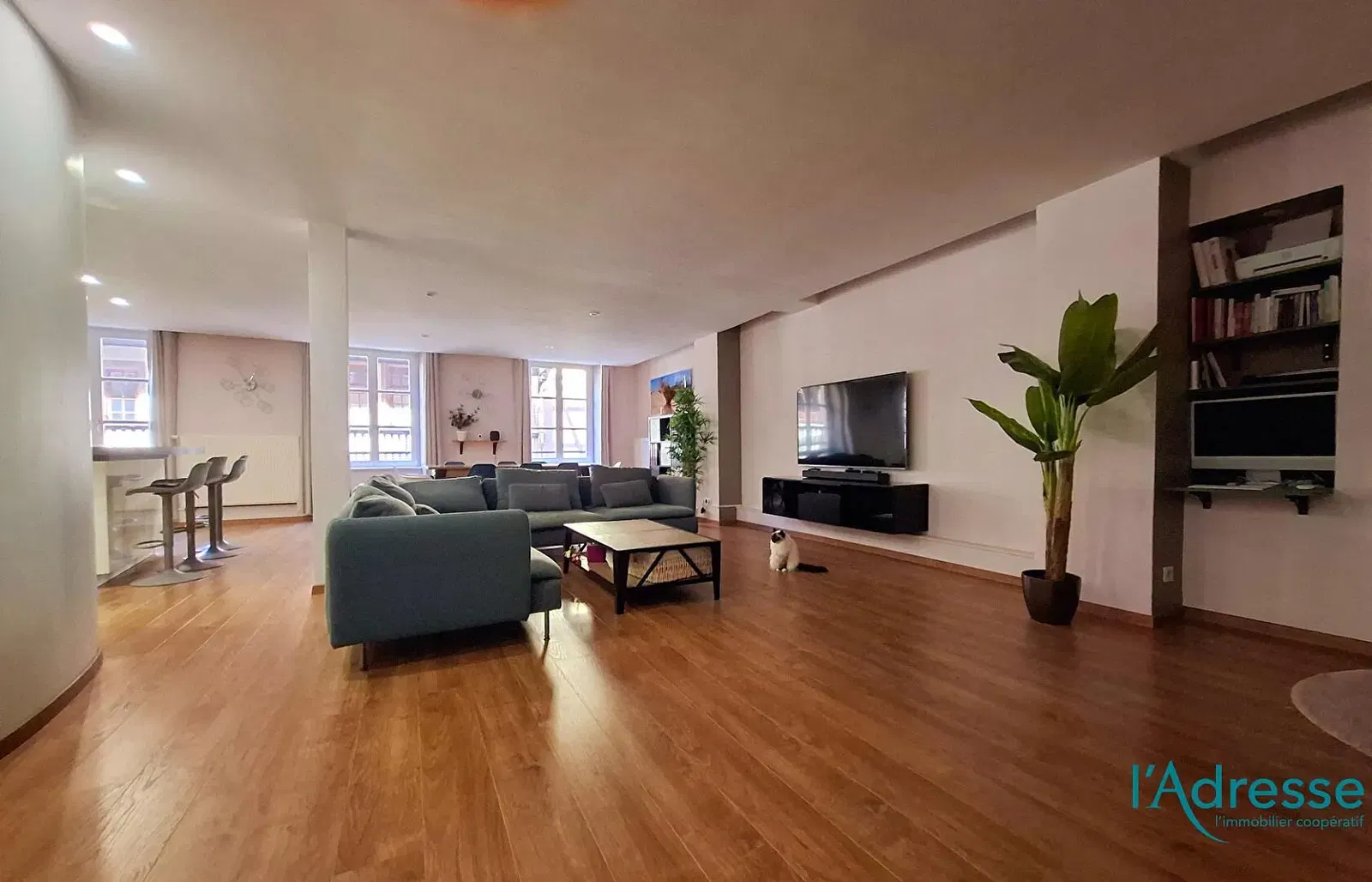 Living room; wood floor, natural light, modern style, high ceiling