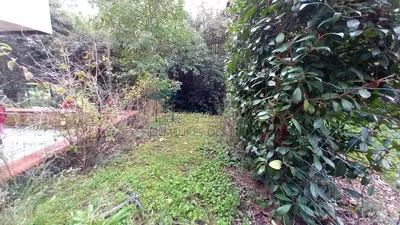 Хол; дървен под, естествена светлина, модерен стил, високи тавани