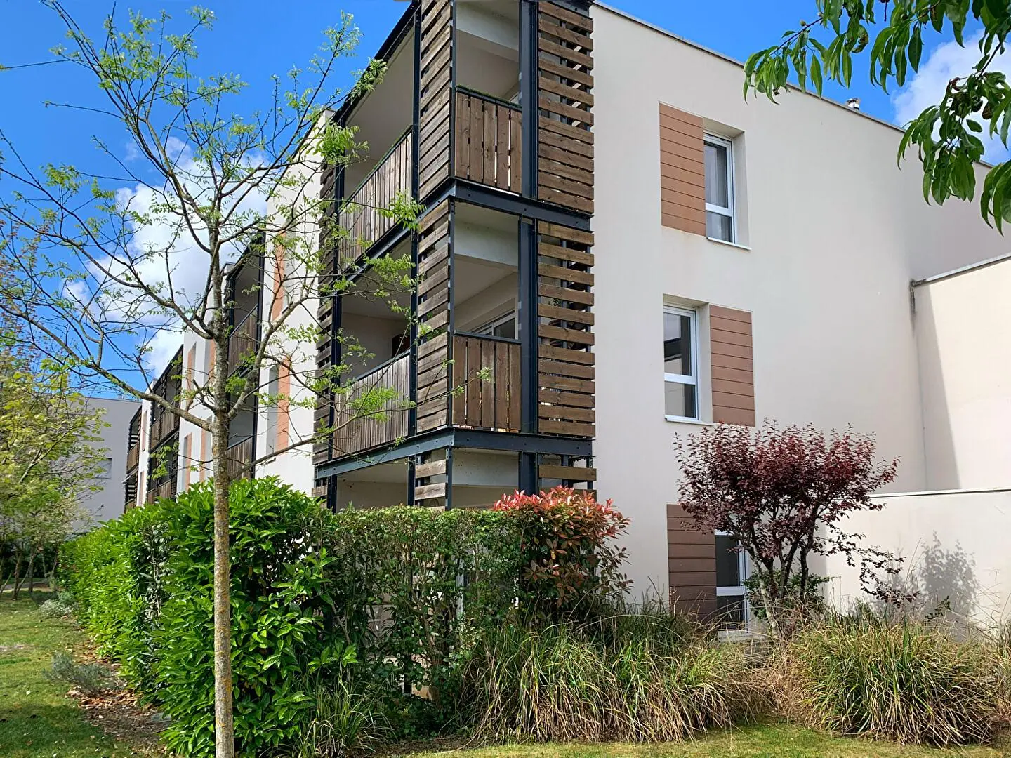 Хол; дървен под, естествена светлина, модерен стил, високи тавани