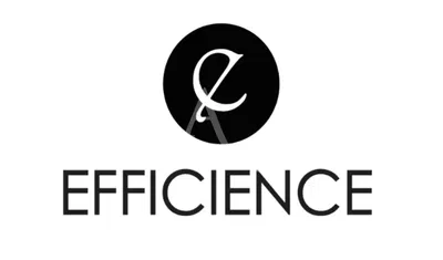 Obývací pokoj; dřevěná podlaha, přirozené světlo, moderní styl, vysoké stropy