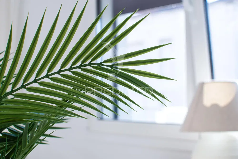 Wohnzimmer; holzboden, tageslicht, moderner stil, hohe decken