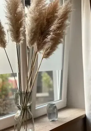 Κουζίνα; συσκευές κουζίνας, ξύλινο πάτωμα, φυσικό φως, μοντέρνο στυλ, ανακαινισμένο