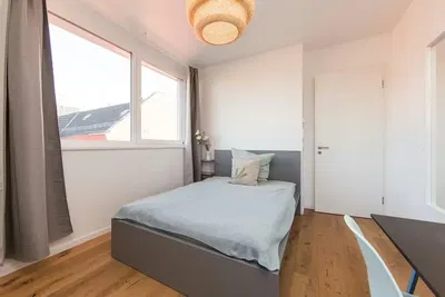 Küche; küchengeräte, holzboden, tageslicht, moderner stil, renoviert