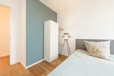 Kitchen; kitchen appliances, wood floor, natural light, modern style, renovated