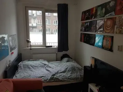 Wohnzimmer; holzboden, tageslicht, moderner stil, hohe decken