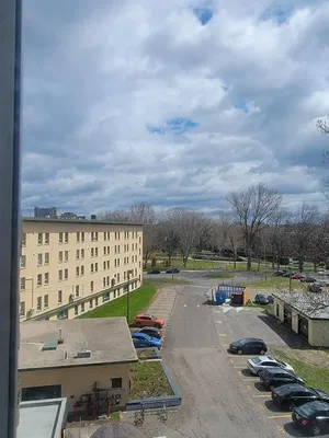 Хол; дървен под, естествена светлина, модерен стил, високи тавани