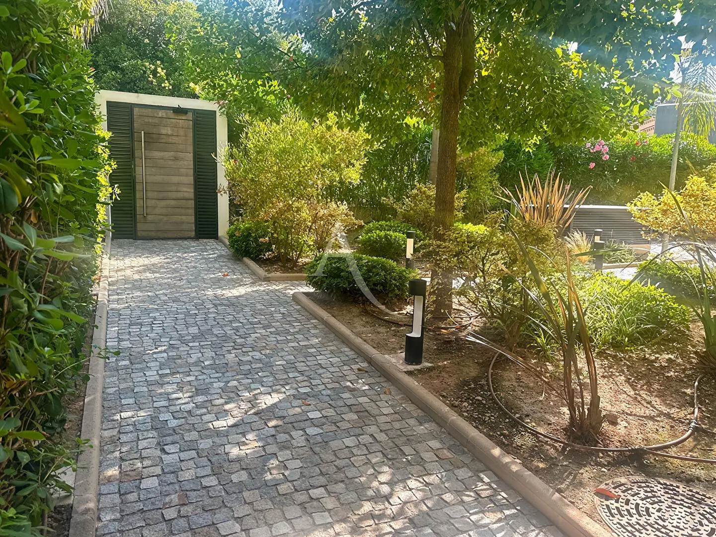 Oturma odası; ahşap zemin, doğal ışık, modern stil, yüksek tavan