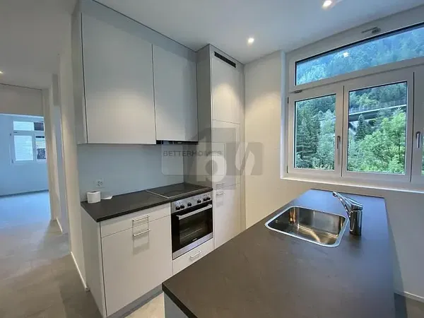 Cocina; electrodomésticos, suelo de madera, luz natural, estilo moderno, renovado