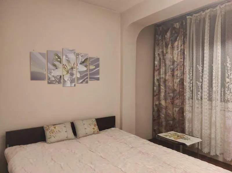 Kitchen; kitchen appliances, wood floor, natural light, modern style, renovated