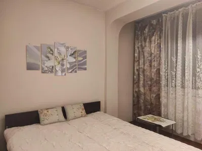 Kitchen; kitchen appliances, wood floor, natural light, modern style, renovated