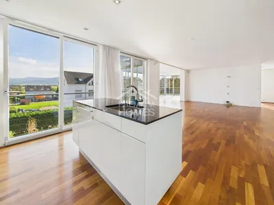 Living room; wood floor, natural light, modern style, high ceiling